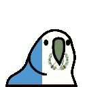 parrot guatemala