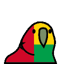 parrot guineabissau