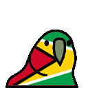 parrot guyana