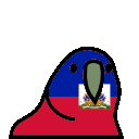 parrot haiti