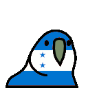 parrot honduras