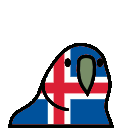 parrot iceland