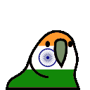 parrot india