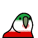 parrot iran