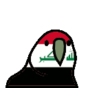 parrot iraq