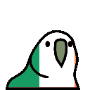 parrot ireland