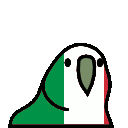 parrot italy