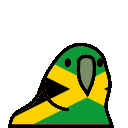 parrot jamaica