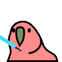 parrot jedi