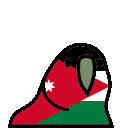 parrot jordan