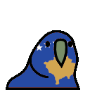 parrot kosovo