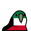 parrot kuwait