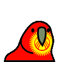 parrot kyrgyzstan