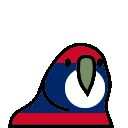 parrot laos