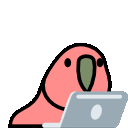 parrot laptop