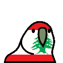 parrot lebanon