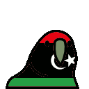 parrot libya