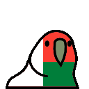 parrot madagascar