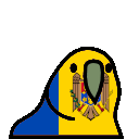 parrot moldova