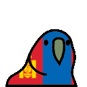 parrot mongolia