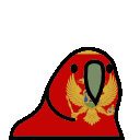 parrot montenegro