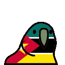 parrot mozambique