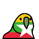 parrot myanmar