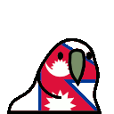 parrot nepal