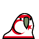 parrot northerncyprus