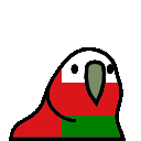 parrot oman
