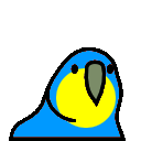 parrot palau