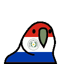 parrot paraguay