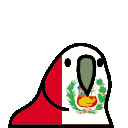 parrot peru