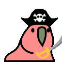 parrot pirate