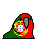 parrot portugal