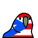parrot puertorico
