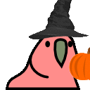 parrot pumpkin