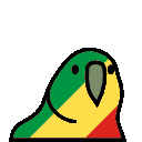 parrot republicofthecongo