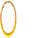 parrot reverse portal orange