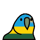 parrot rwanda