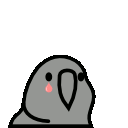 parrot sad