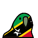 parrot saintkittsandnevis
