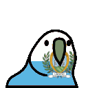 parrot sanmarino