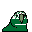 parrot saudiarabia