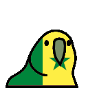 parrot senegal
