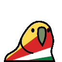 parrot seychelles