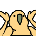 parrot_shrug