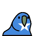 parrot somalia