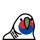 parrot southkorea