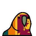 parrot srilanka